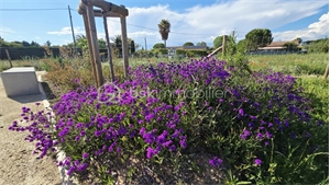 terrain à la vente -   34800  CANET, surface 772 m2 vente terrain - UBI471534791